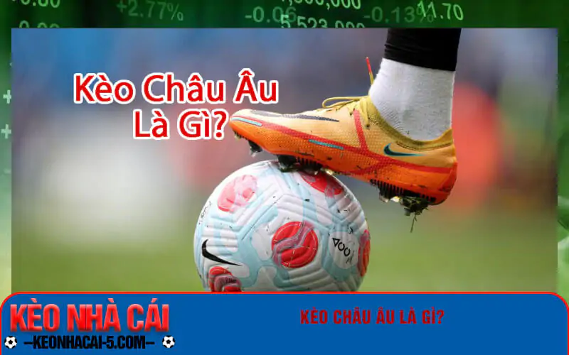 Kèo nhà cái 5 có gì đặc sắc?