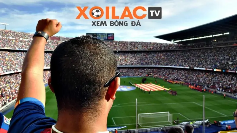 Xoilac - Đắm chìm với nền tảng dành cho người hâm mộ bóng đá