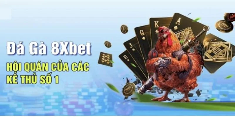 Đá gà 8XBet - Trọn bộ bí kíp đặt cược từ cao thủ