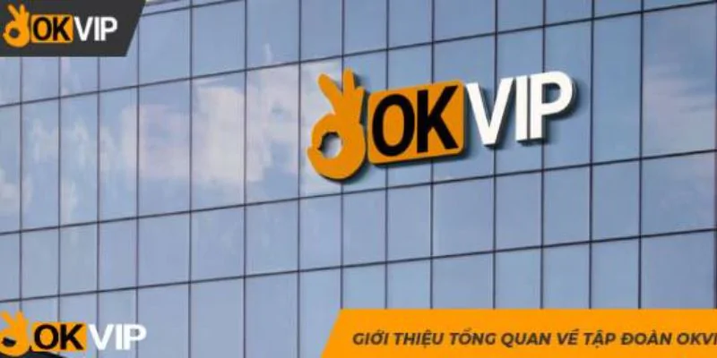 Tư vấn tuyển dụng okvip