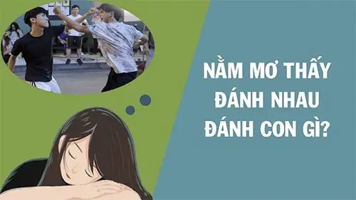 Mơ thấy đánh nhau đánh con gì? Phân tích giấc mơ và các con số may mắn