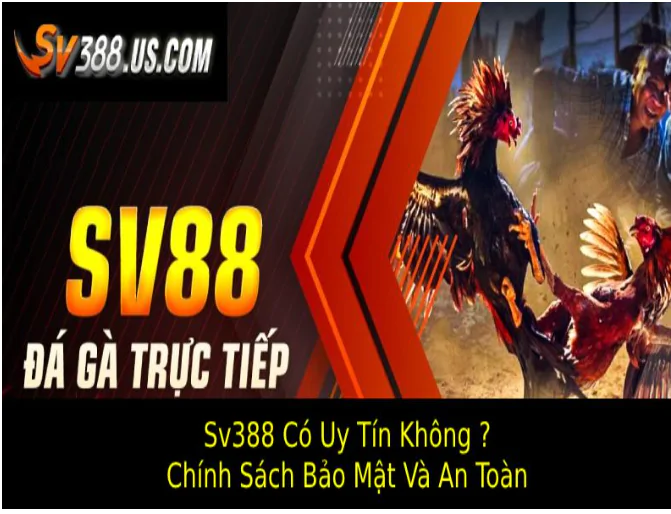 Sv388 Có Uy Tín Không ? Đánh Giá Sân Chơi Hàng Đầu 2025