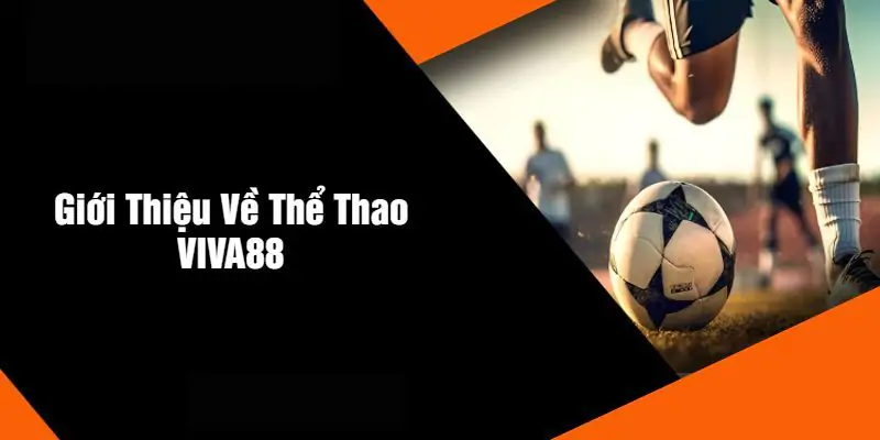 Thể Thao Viva88: Khám Phá Sảnh Giải Trí Hot Nhất 2025