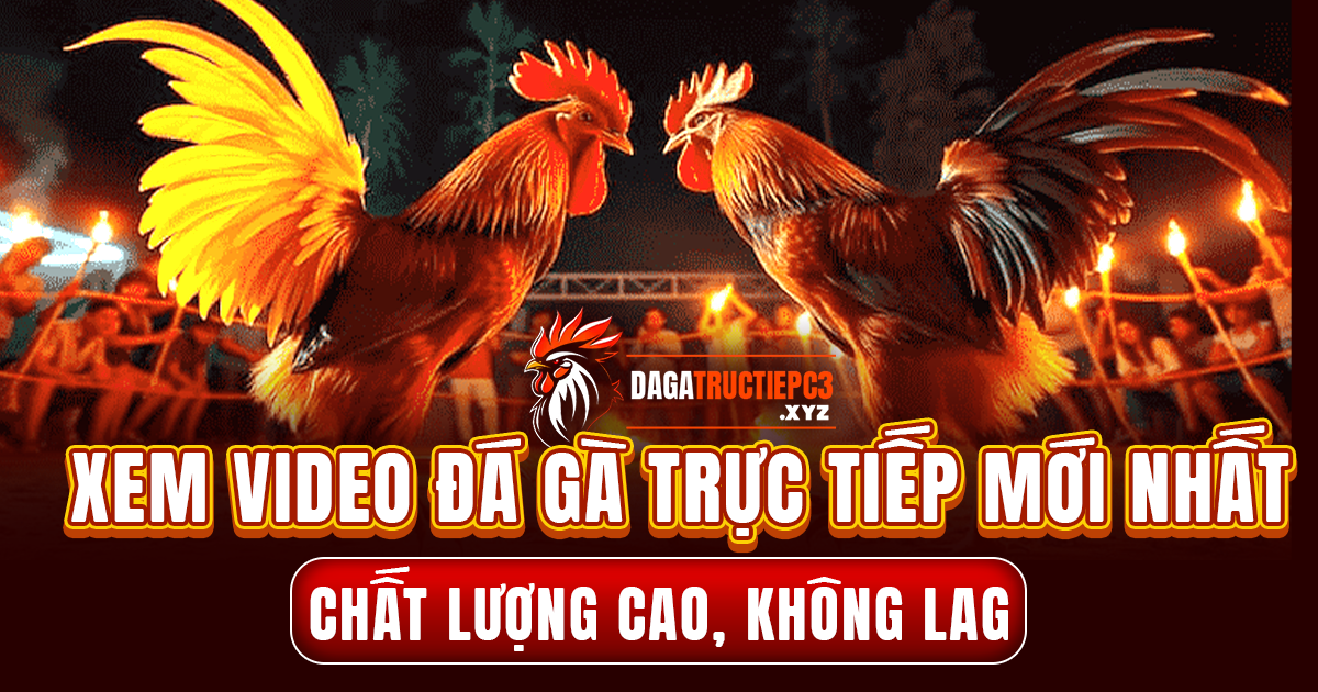 Theo dõi chọi gà vô cùng thú vị tại Dagatructiepc3 