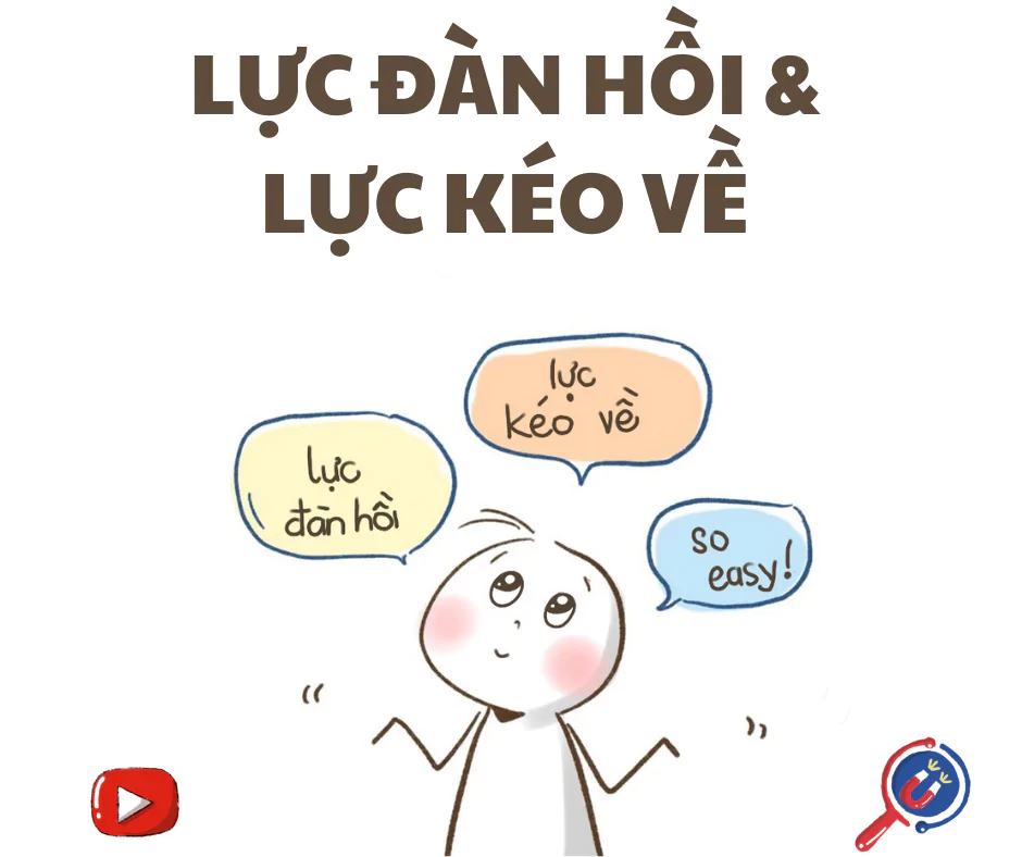 LỰC ĐÀN HỒI VÀ LỰC KÉO VỀ TRONG DAO ĐỘNG ĐIỀU HÒA