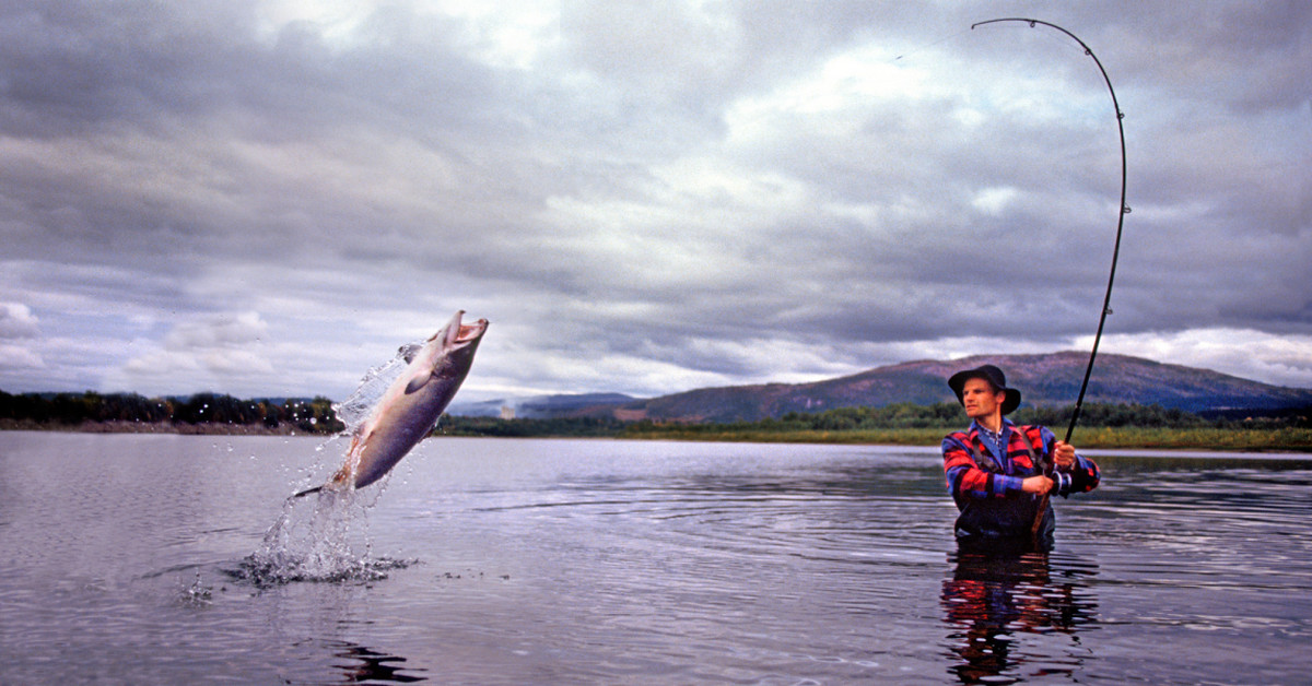 V&igrave; sao giao dịch Forex lại giống như đi c&acirc;u c&aacute;? L&agrave;m c&aacute;ch n&agrave;o để c&aacute; cắn c&acirc;u  đ&acirc;y? | TraderViet