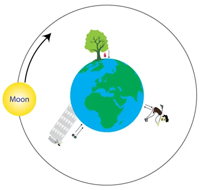 Gravitational Forces - Shalom Education